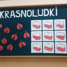 2e51a465 4549 4869 b2f3a82740b51