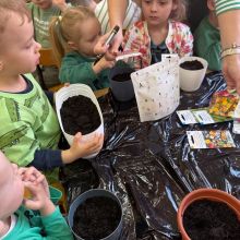 666e60ba 8633 4b3ac7c af1924de4a05