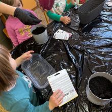 7a365b24 aa4d 4a06 a2f5f96918d