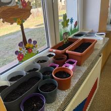 f0bfc039 b3c4 44c3 b37fda58d52